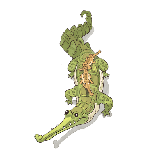 Gavial