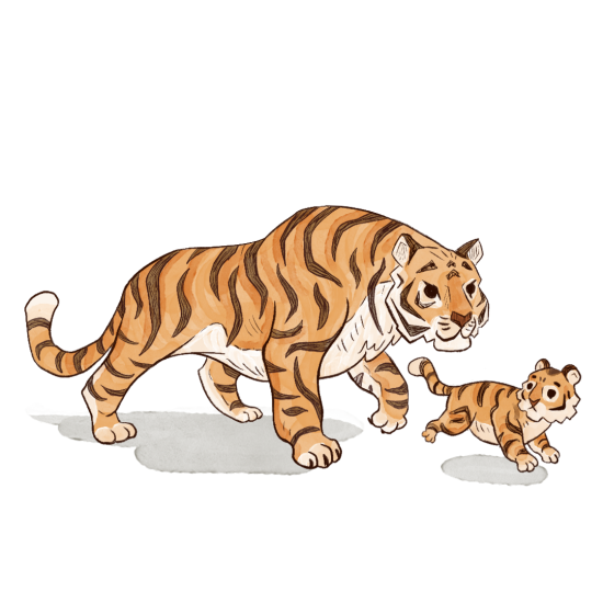 Tigre